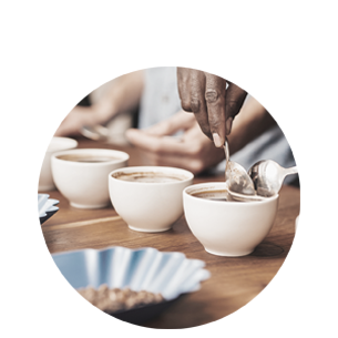 認(rèn)證教學(xué)